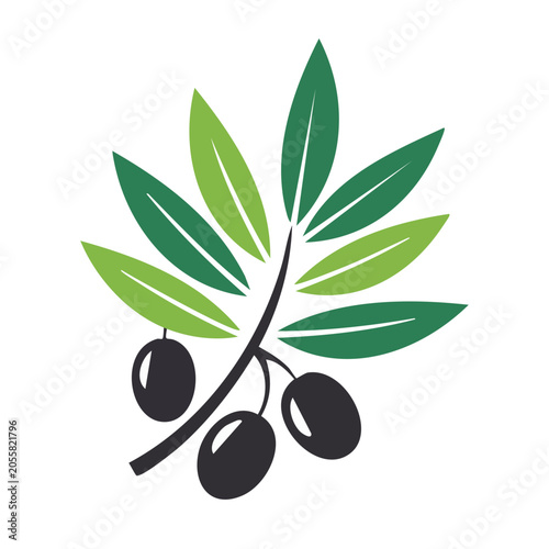 Olive Branch Vector Graphic