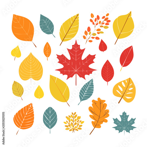 Autumn Leaves Flat Design Vector Set