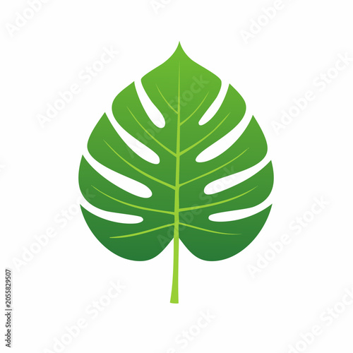 Green Monstera Leaf Icon