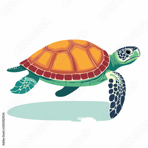 Illustration of a Sea Turtle Swimming