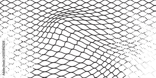 Fotografía PrintBlack snake skin pattern protected on white