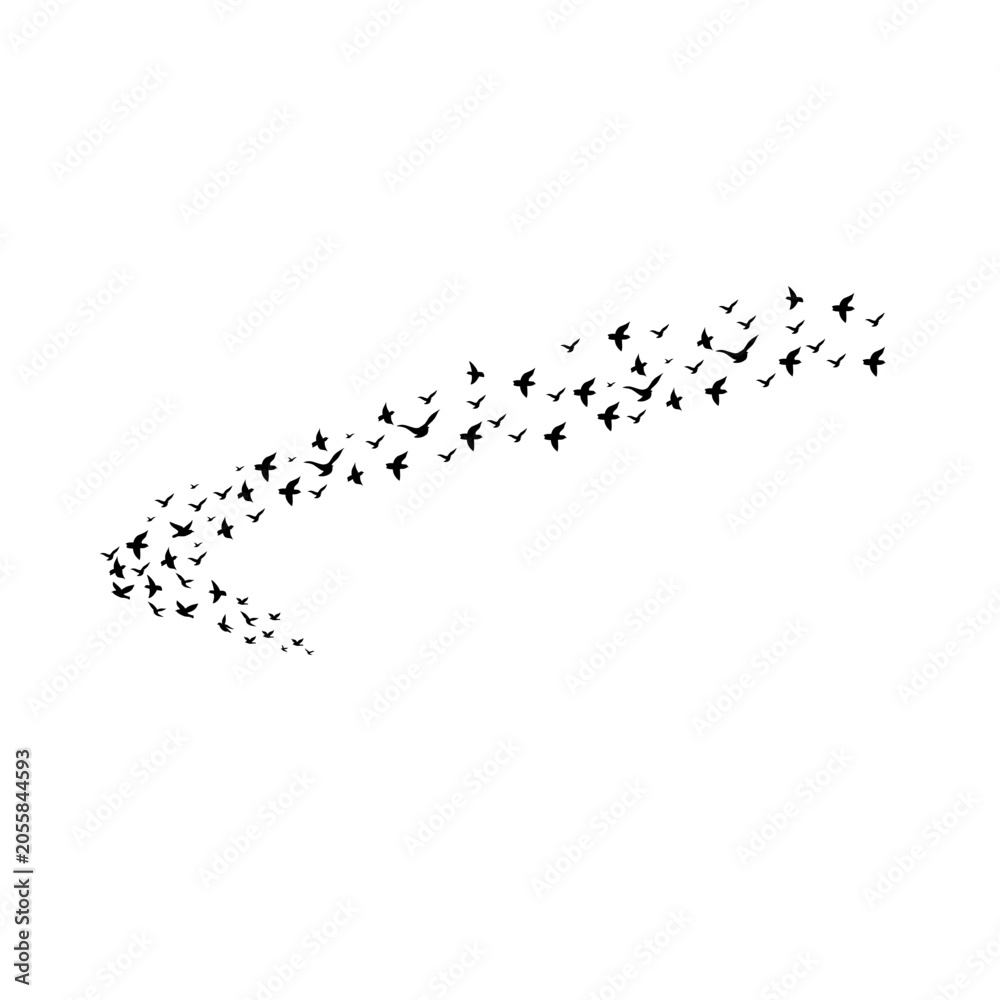 Fototapeta premium Migratory Bird Flock Silhouette Set Isolated on White Background