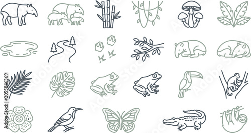 Photography A collection of various jungle animal and tropical plant vector icons in a clean
