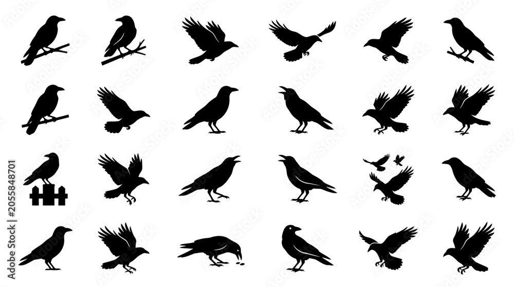 Fototapeta premium Black raven and crow silhouettes collection, dark bird vector icons in flying and sitting poses