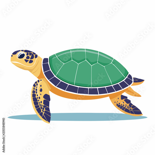 Illustration of a Green Sea Turtle