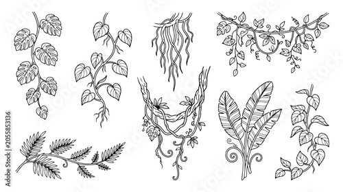 Canvastavla Hand drawn tropical jungle vines and exotic leaves set, black and white botanica