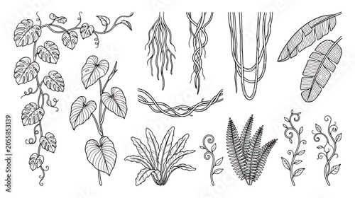 Konstfotografi Hand drawn jungle liana and tropical leaf set, black and white botanical vine il