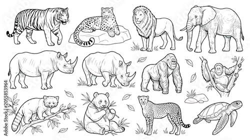 Photography Hand drawn wild animal vector set, black and white safari animal sketches, 12 zo