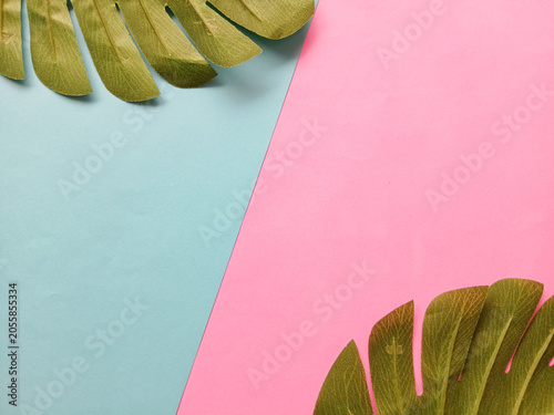 Minimalist Tropical Palm Leaves on Pastel Blue and Pink Background