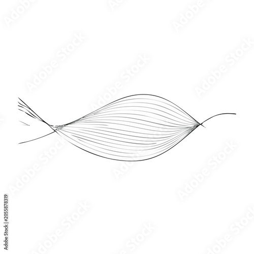 Black and white butterfly line art vector