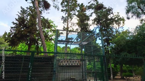 Exotic parrots and colorful tropical birds inside the walk-in aviary at Attica Zoological Park in Athens, Greece of captive wildlife 