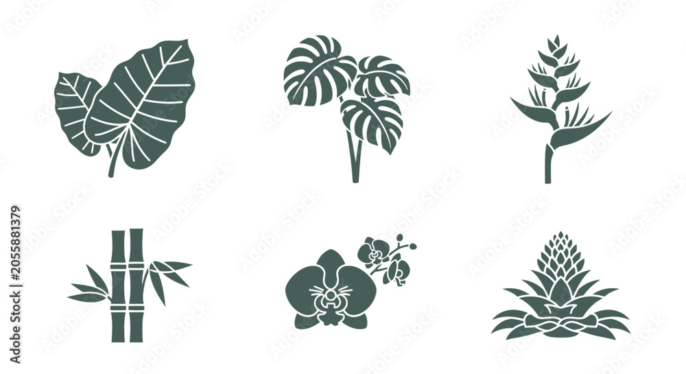 Fototapeta premium Tropical Plant Silhouettes: Monstera, Orchid, Bamboo, and More