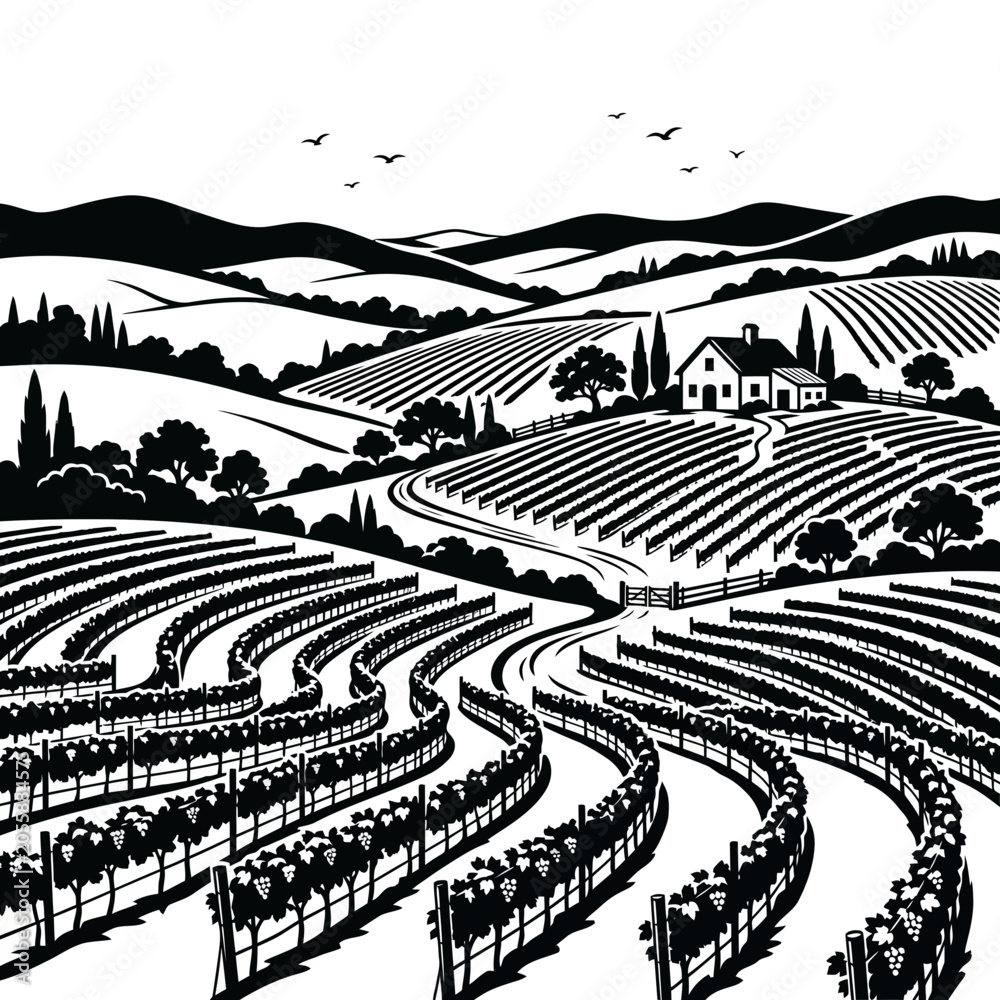 Fototapeta premium Vineyard landscape artistic drawing with rolling hills, farmhouse and birds