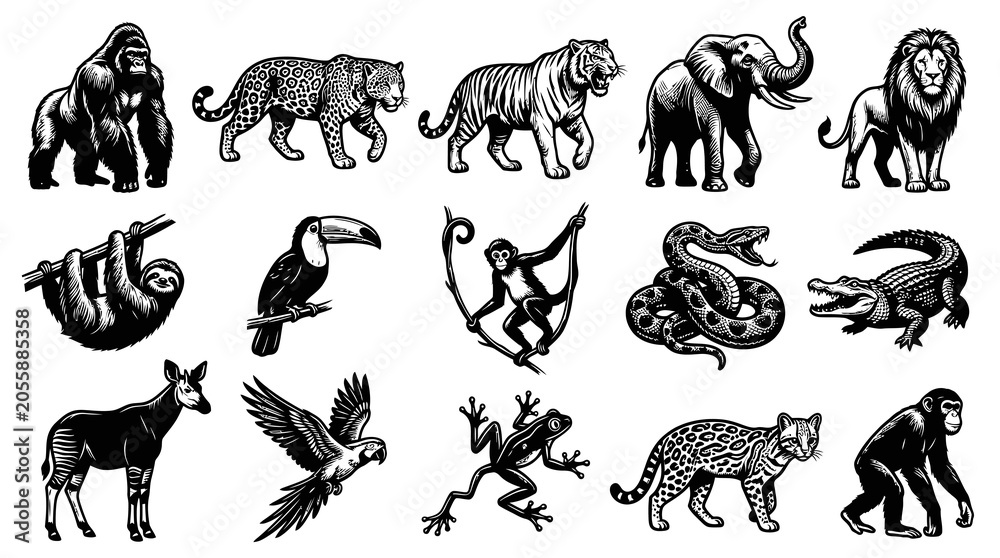 Fototapeta premium Black and White Jungle Animals Vector Set: Gorilla, Tiger, Elephant, Lion, Sloth, Toucan, Monkey, Snake, Crocodile, Okapi, Eagle, Frog, Ocelot