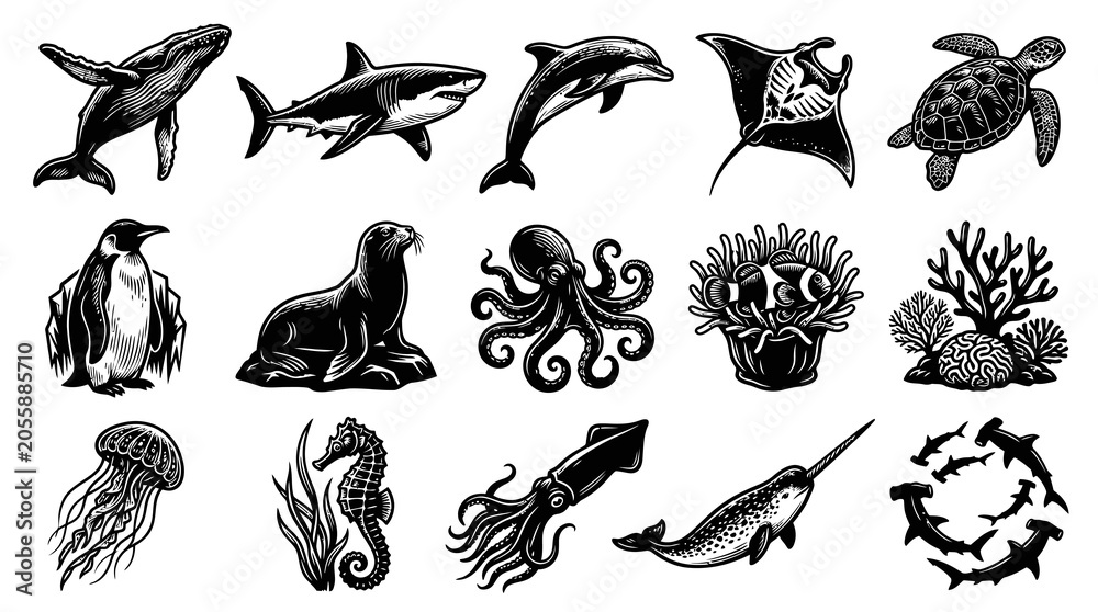 Obraz premium Black and White Vector Illustrations of Various Sea Creatures, Ocean Life Art