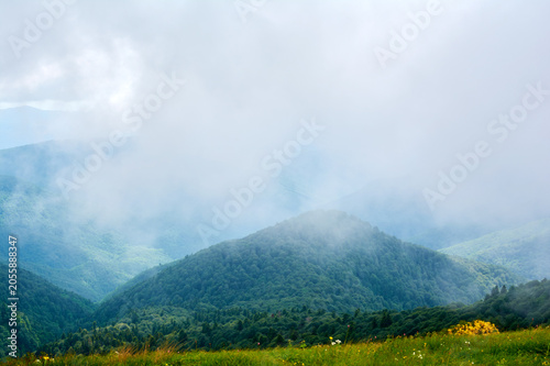 Forested mountains disappear into fog where trees and peaks blend with mist in mysterious layered landscape.