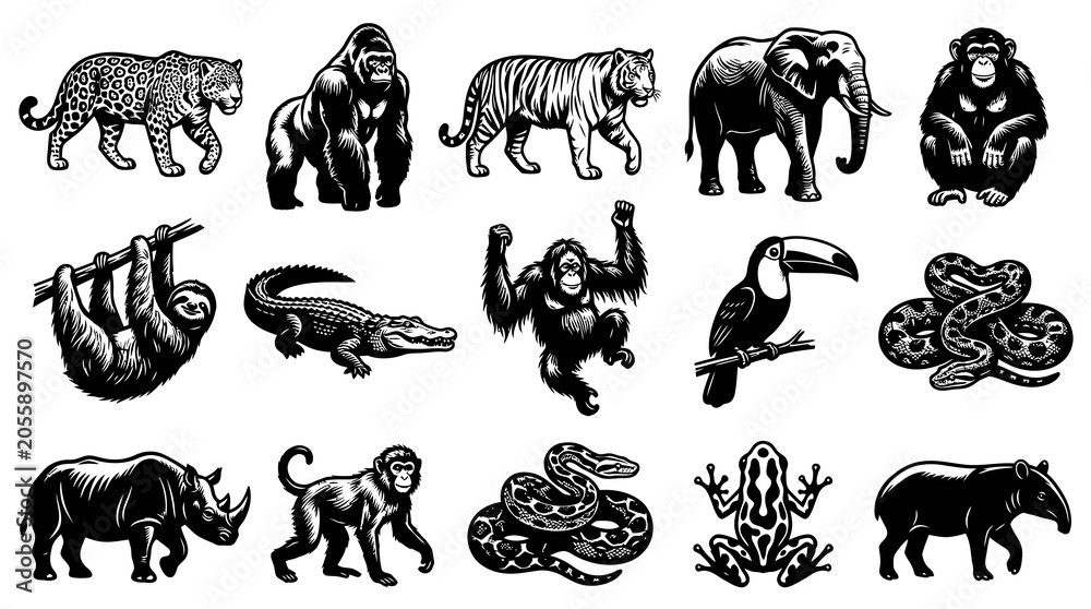 Fototapeta premium Black and White Vector Art of Various Jungle Animals Collection