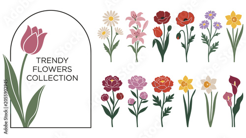 Foto Trendy flowers collection with vibrant spring blooms in various colors