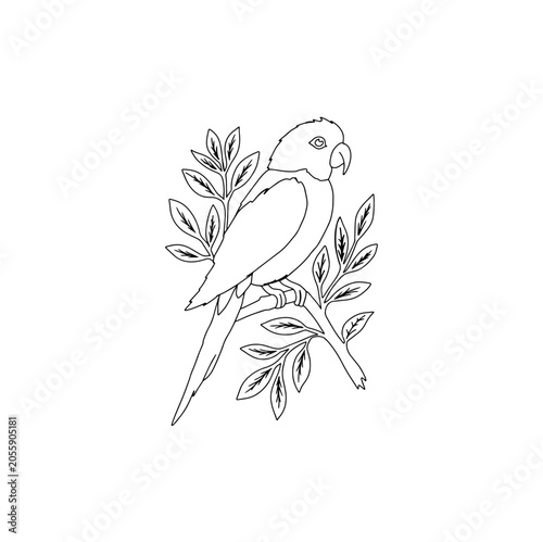 Cute Parrot outline sketch coloring book template