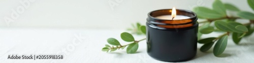 Eco-friendly soy candle in black jar, sprig of greenery on white , dark jar, modern, aromatherapy