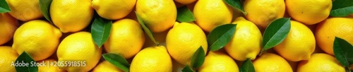 Lemons forming a visually appealing, stylized pattern , zest, stylized