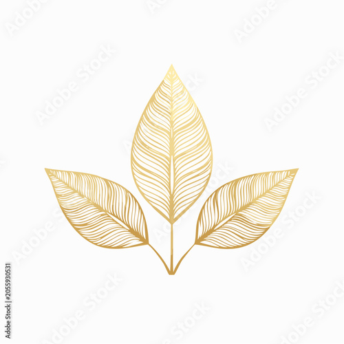 Golden Leaves Illustration