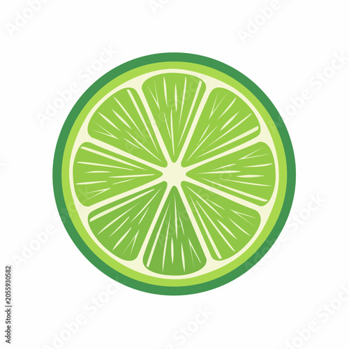 Illustration of a Lime Slice