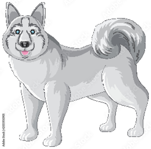 Vector Illustration of a Gray Siberian Husky Standing on White Background