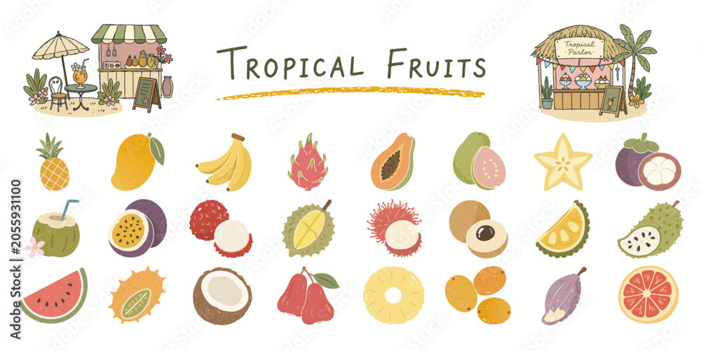 Obraz premium トロピカルフルーツの手描きイラストセット／Tropical Fruits, Hand Drawn Illustration Set 