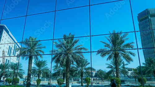 Modern glass building facade reflecting green palm trees and city skyline under clear blue sky in Riyadh Saudi Arabia