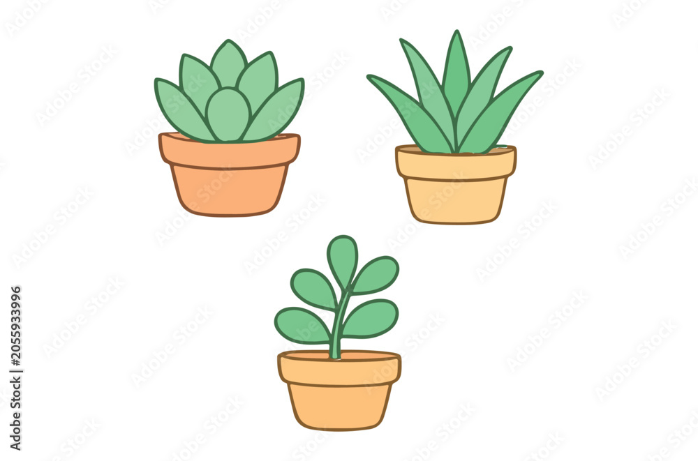 Fototapeta premium Succulents In Terracotta Pots Colorful Vector Illustration