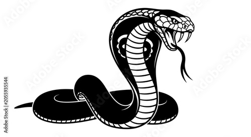 Foto Aggressive Cobra Snake Vector Illustration