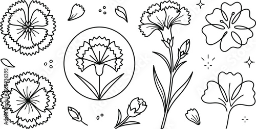 Cuadro en lienzo Carnation flower line icon set with dianthus blossoms buds petals and single lin