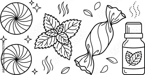 Tableau sur toile Mint flavor and peppermint candy line icon set with fresh menthol leaves candy w