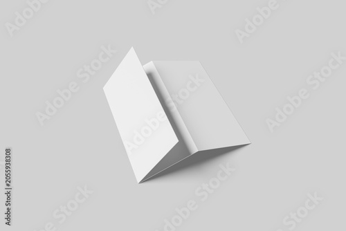 Blank DL Trifold Brochure Mockup
