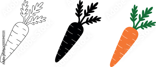 Carrot vector illustration icon set featuring outline silhouette and colorful orange vegetable designs for healthy food concept