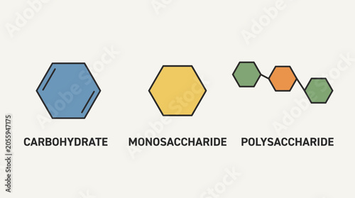 Bild auf Leinwand Carbohydrate Monosaccharide Polysaccharide Structure