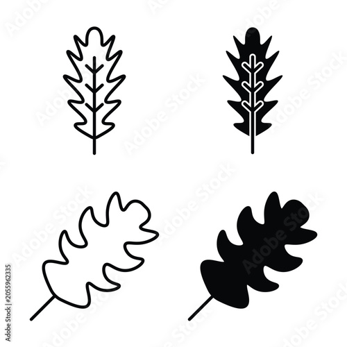 Valokuva Oak Leaf icon