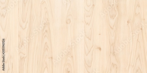 Fotografie Light birch wood grain texture surface background