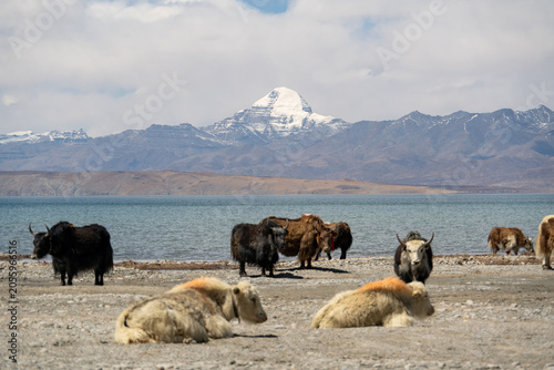 The beautiful Mount Kailash