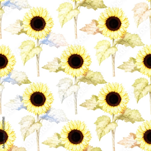 Seamless Sunflower Floral Pattern Background for Summer Design