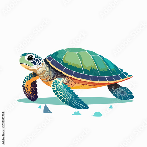 Illustration of a Sea Turtle