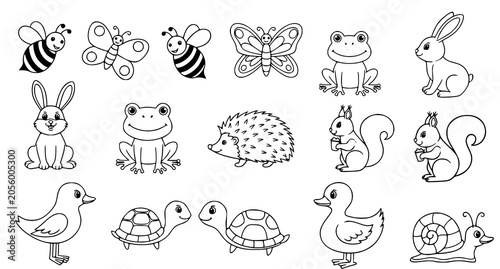 Photography Coloring page with various cute animals