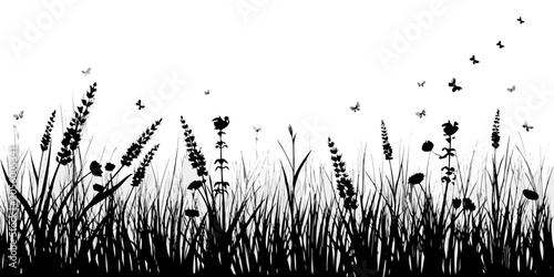 Foto Meadow Grass And Flying Insects Black Silhouette On White Background