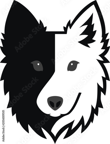Vászonkép Split face black and white herding dog portrait illustration