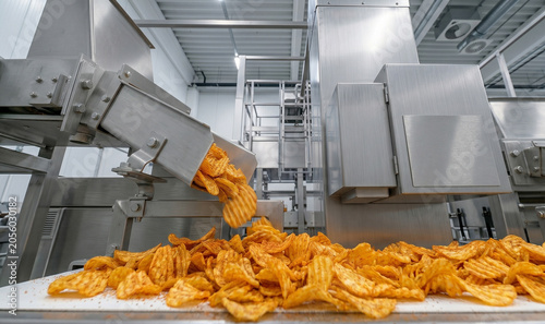 Food Industry Production Line Featuring Fresh Golden Zigzag Potato Chips Conveyor