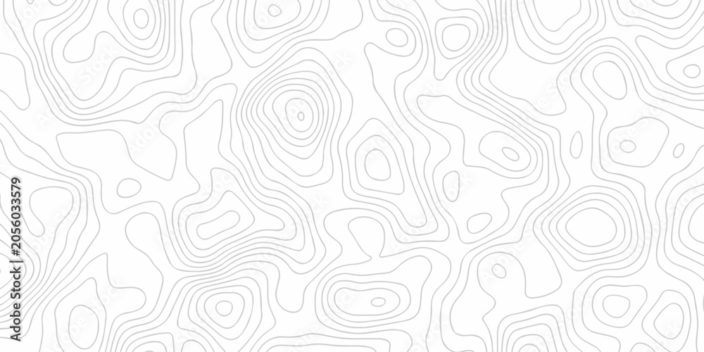 Obraz premium Minimal white landscape topography map area wallpaper. minimal topo paper lines. Topographic contour lines grid map fabric pattern. Geographic mountain relief. Contour hiking design.