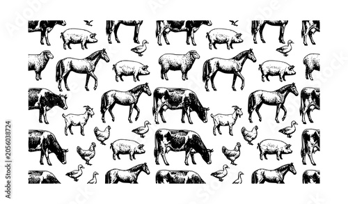 Tablou pe pânză Reptiles seamless pattern background with hand drawn black ink sketch style liza