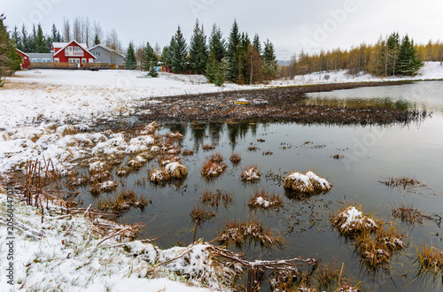 Schilderij op canvas Rural houses with red roofs and surrounding trees reflecting in a tranquil pond with emergent vegetation during winter