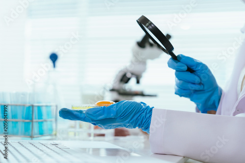 Photos Food safety inspector examining an egg sample in a laboratory, conducting quality assessment, contamination screening, and microbiological testing for consumer safety